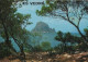 114002 - Ibiza - Spanien - Cala D Hort - Ibiza