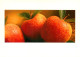 Recette  Pommes Apple Fruits   45  (scan Recto-verso)MA2288Bis - Recetas De Cocina
