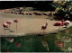 LYON. - Le Parc De La Tête D'Or, Les Flamants Roses - Lyon 7