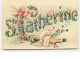 N°6250 - Carte Gaufrée - Sainte Catherine - Cochon - Santa Catalina