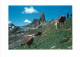 Animaux - Vaches - Beaufortain - Montagne Des Hommes - 1 - L'autre Face De Pierra Menta - Chèvres - Carte Neuve - CPM -  - Vaches