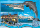 Animaux - Dauphins - Cap D'Agde - Multivues - CPM - Voir Scans Recto-Verso - Dolfijnen