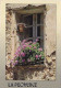 AK 210408 FRANCE - La Provence - Provence-Alpes-Côte D'Azur