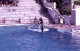 10 SLIDES SET 1984 DOLPHIN DELFINES MARINELAND MALLORCA ESPANA SPAIN AMATEUR 35mm SLIDE Not PHOTO No FOTO NB3957 - Dias