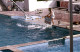 Delcampe - 10 SLIDES SET 1984 DOLPHIN DELFINES MARINELAND MALLORCA ESPANA SPAIN AMATEUR 35mm SLIDE Not PHOTO No FOTO NB3957 - Diapositives