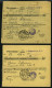 LETTLAND 121 BRIEF, 1929/30, 2 S. Lilarosa, 2 Frankierte Geldanweisungen Aus Amerika (verschiedene Typen), Pracht - Lettland