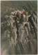 CINA - CHINA - CHINE - POST CARDS - CARTOLINA - MONUNT HUANGSHAN - Chine