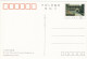 CINA - CHINA - CHINE - POST CARDS - CARTOLINA - GUANGDONG - Chine