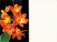 VIEUX PAPIERS CALENDRIER PETIT FORMAT 1990 FLEURS - Small : 1981-90