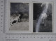 X4 Photos Lot De 4 Photographies Chèvres Chèvre Goat Goats Geiten - Objets