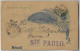 Brazil 1896 Postal Stationery Card Stamp 40 Reis Sent From Santos To São Panto Railroad Cancel Santos Station - Postal Stationery