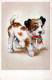 CANE Animale Vintage Cartolina CPA #PKE778.A - Dogs