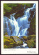 IRLANDE TORC WATERFALL KILLARNEY - Kerry