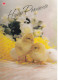 Postal Stationery - Chicks - Eggs - Happy Easter - Red Cross 1993 - Suomi Finland - Postage Paid - Postal Stationery