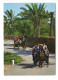 Gabès - Promenade à Travers L'Oasis - Tunisie