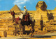 GIZA / PYRAMIDE MYKERINOS ET LE SPHINX ET EGYPTIEN SUR CHAMEAU / VOIR SCAN - Guiza