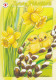 Postal Stationery - Easter Flowers Daffodils Willows - Chicks - Red Cross 2008 - Suomi Finland - Postage Paid - Ganzsachen