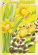 Postal Stationery - Easter Flowers Daffodils Willows - Chicks - Red Cross 2008 - Suomi Finland - Postage Paid - Postal Stationery