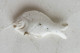 FEVE ANCIENNE  EN PORCELAINE BLANCHE EMAILLEE LAPLAGNE - POISSON LIMANDE 32 - Antiguos