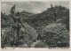 112902 - Weinheim - Blick über Den Marktplatz - Weinheim