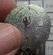 1920 Pin's Pins / Beau Et Rare / MILITARIA / INSIGNE METAL ARGENT ARMEE ANGLAISE A IDENTIFIER - Militaria