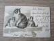 FANTAISIE GAUFREE ILLUSTREE  CHAT CHATONS GRENOUILLE - Chats