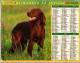 (Divers). Calendriers Almanach Lavigne Du Facteur 1998 Departement 80 Somme Theme Chien  Petite Dechirure & 2003 - Formato Grande : 1991-00
