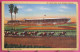 Visuel Pas Très Courant - USA - Californie - Los Angeles Turf Club - Santa Anita Park - Arcadia - Hippodrome Et Chevaux - Los Angeles