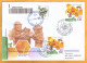 2023  Moldova Moldavie    FDC „Apiculture. Protect The Bees - Protect Life On Earth!” - Moldova