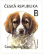 1133 -4 Czech Republic Puppy Czech Mountain Dog 2021 - Neufs