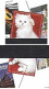 Pays-Bas, Nederland, Netherlands 2011; Pictures From The World; Postcard With Red Cat, White Cat On The 2 Edges; 10v M/s - Katten