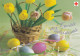 Easter Flowers - Tulips - Eggs - Red Cross 2004 - Postal Stationery - Suomi Finland - Postage Paid - Postal Stationery