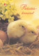 Postal Stationery - Chicks In The Basket With Eggs - Easter - Red Cross 2000 - Suomi Finland - Postage Paid - Enteros Postales