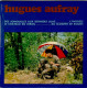 HUGUES AUFRAY -  FR EP - DES JONQUILLES AUX DERNIERS LILAS + 3 - Sonstige - Franz. Chansons