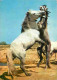 Animaux - Chevaux - Camargue - Combat De Chevaux - Carte Crinière Au Vent - Horses - Pferde - CPM - Voir Scans Recto-Ver - Horses