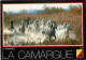Animaux - Chevaux - Camargue - Chevaux En Liberté Dans Les Marais - Blasons - CPM - Voir Scans Recto-Verso - Horses
