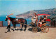 Animaux - Chevaux - Italie - Passeggiata Sorrentina - Promenade à Sorrente - Drive In Sorrento - Spaziergang In Sorrento - Pferde