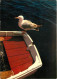 Animaux - Oiseaux - Oiseaux De Mer - Goélands Argentés - CPM - Voir Scans Recto-Verso - Oiseaux