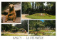 Animaux - Ours - Parc De La Pépinière De Nancy - Multivues - Zoo - Bear - CPM - Voir Scans Recto-Verso - Bears
