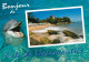 Animaux - Dauphin - Dolphin - Noirmoutier - CPM - Voir Scans Recto-Verso - Delphine