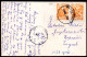 496 - Croatia - Veli Losinj 1958 - Postcard - Croacia