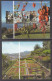 2010 Madeira Botanical Garden Flowers Plants Complete Set Of 4+ 2 Souvenir Sheets MNH @ BELOW FACE VALUE - Madeira