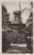 127122 - Potsdam - Historische Mühle - Potsdam