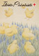 Postal Stationery - Chicks - Easter In Grass - Summer Meadow - Red Cross 1994 - Suomi Finland - Postage Paid - Enteros Postales