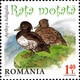 Romania 2014 MiNr. 6803 - 6806 Rumänien WILD DUCKS BIRDS 4 V MNH** 20,00 € - Unused Stamps