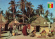 CPSM Village De Casamance      L2794 - Sénégal