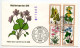 Germany, West 1978 FDC Scott B553-B556 Woodland Flowers - Arum, Weaselsnout, Turk's Cap Lily, Liverwort - 1971-1980