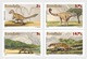 Romania 2016 MiNr. 7027 - 7030  Rumänien Prehistorics 4 St.   17,00 € - Neufs