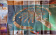 UAE..MAP..PALM JUMEIRAH..COMPLIMENTARY COPY - Otros & Sin Clasificación