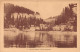 ET-SUISSE LAC DES BRENETS-N°T2930-E/0331 - Les Brenets